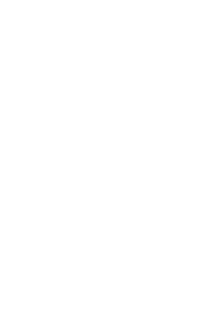 No palm oil